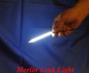 Pictures: Merlin Leak light